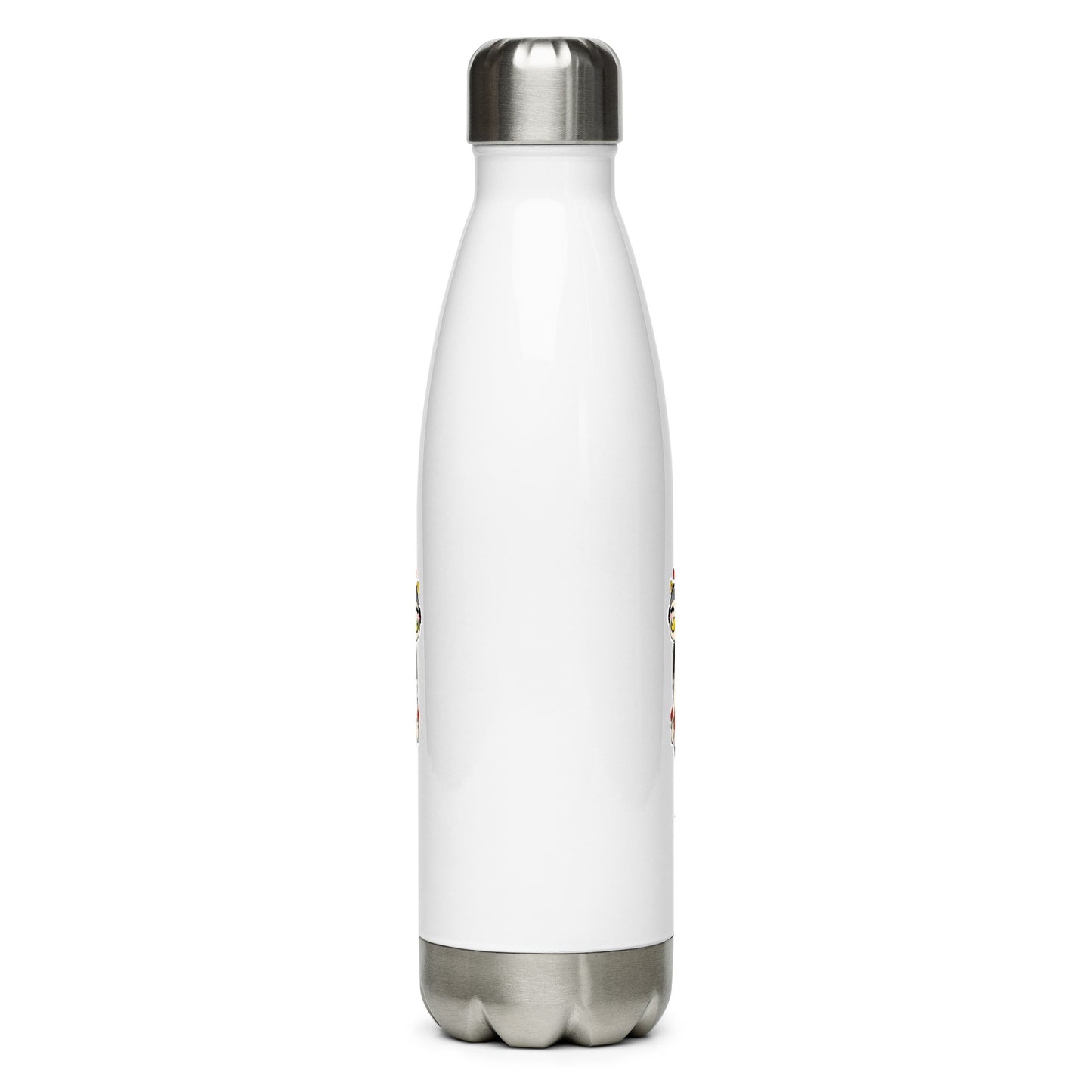 DRUNKEN DRAKEN'S Stainless steel water bottle